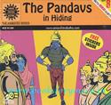 The Pandavas In Hiding (VCD)