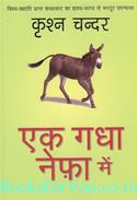 Ek Gadha Nefa Mein