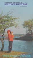 Birds Of Gujarat