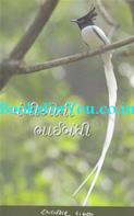 Pankhioni Bhaibandhi (Essays On Birds)