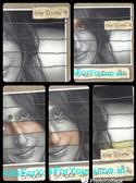 Katha Collage Gujarati Book (Part 1 to 5)