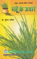 Surendra Kapil