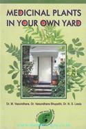 Medicinal Plants In Your Own Yard