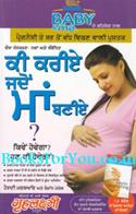 What to Expect When You Are Expecting (Punjabi Edition)